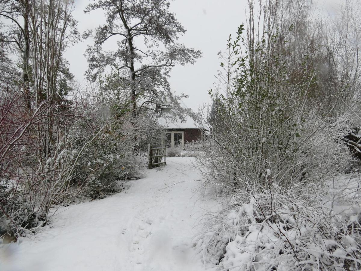 Uylkenshof Safaritenten En Natuurhuisjes Epe Kültér fotó