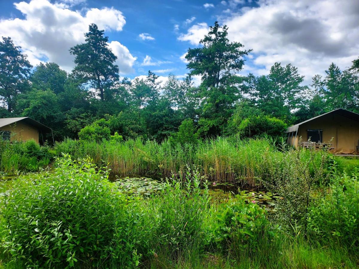Uylkenshof Safaritenten En Natuurhuisjes Epe Kültér fotó