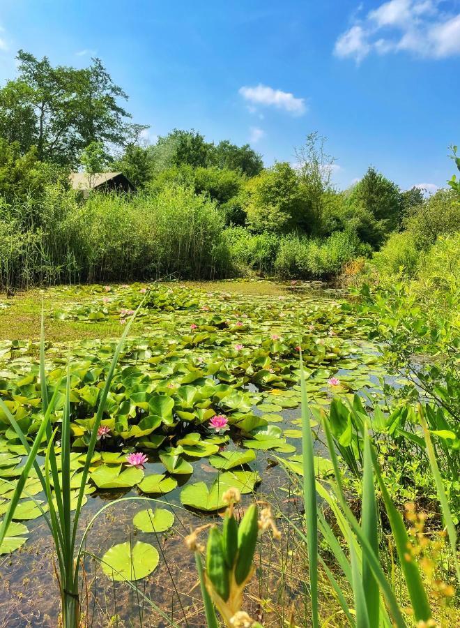 Uylkenshof Safaritenten En Natuurhuisjes Epe Kültér fotó